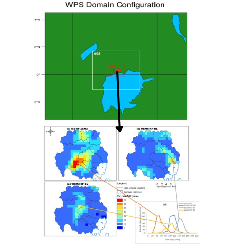 WARF model